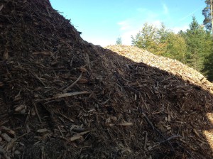 caldaie a biomassa